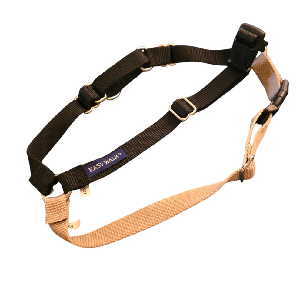 PetSafe Easy Walk Dog Harness, Medium